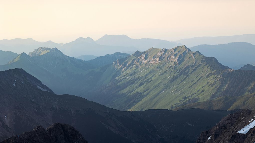 cedarwave crest form number