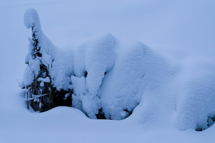 frostgate drift card number