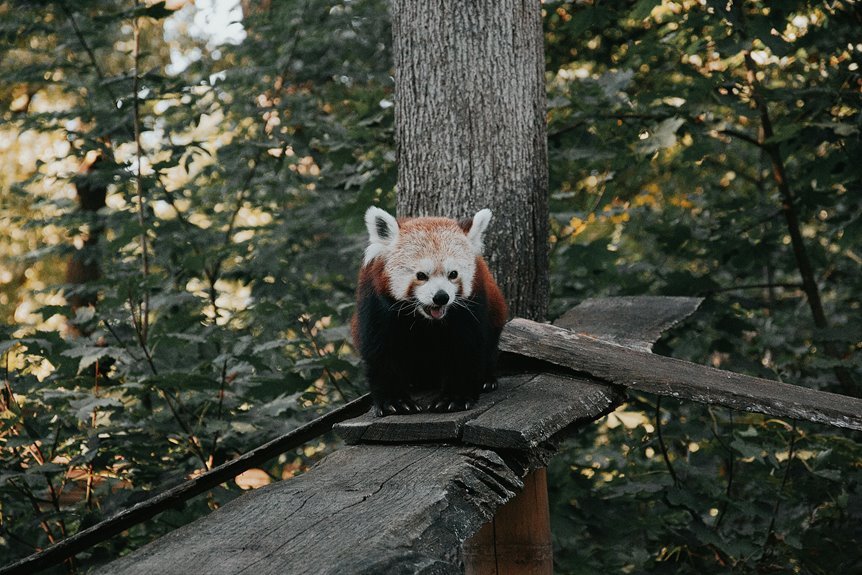 rosecrest axis log entry