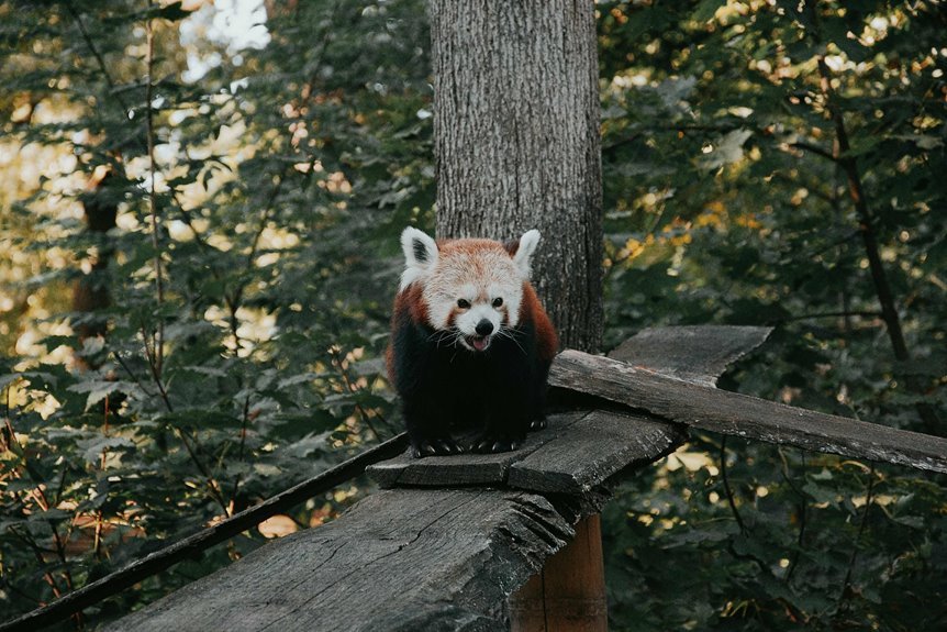 silvercrest beacon log entry