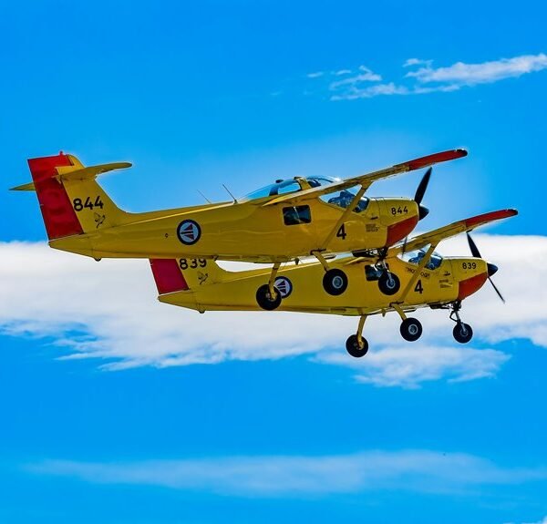 Gryphor Digital 8552002705 Firm Plane