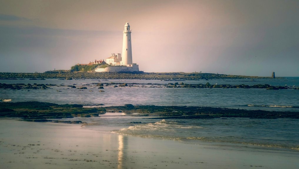 understanding a business entity